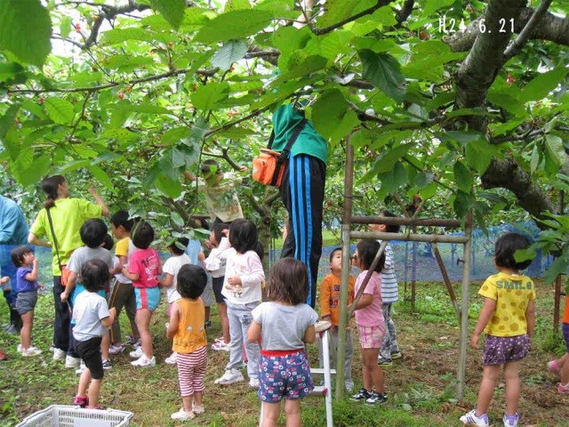 観光農園どんぐり山