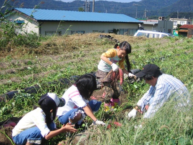 能登野いも掘り園