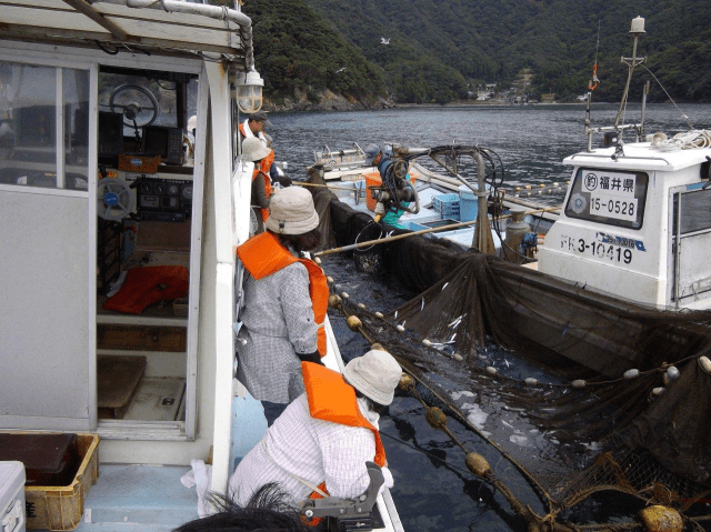 漁師体験(田烏:民宿浜乃家)