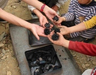 名田庄綜合木炭