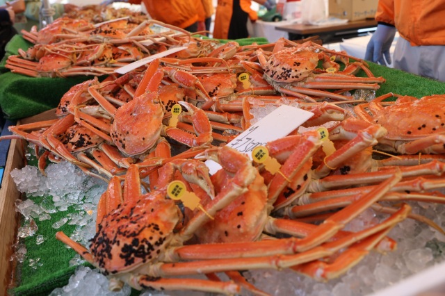 【道の駅 越前】越前かに感謝祭2027