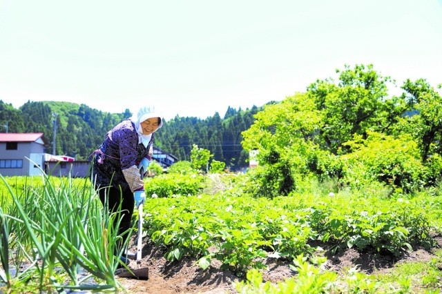 お米と野菜は自家製