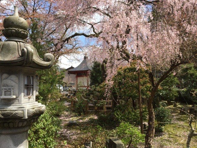 安養寺