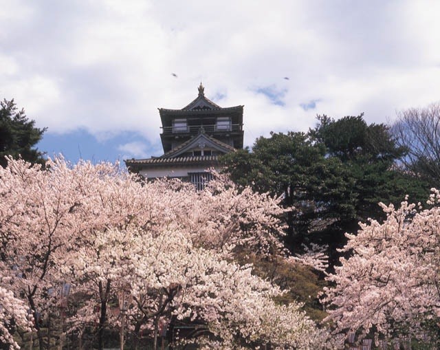 桜の名所としても有名です