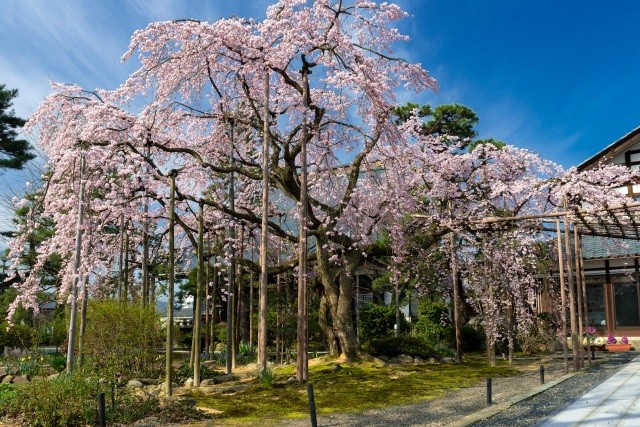 大宝寺