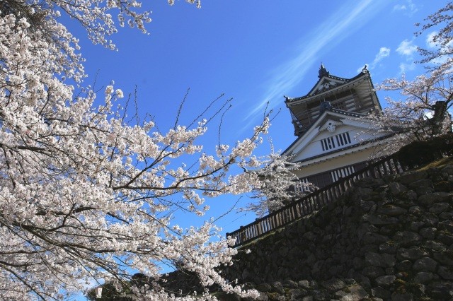 越前大野城