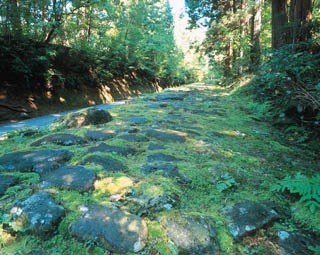 平泉寺白山神社　参道