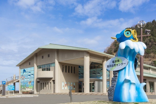 福井県海浜自然センター