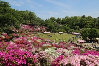 Sabae Tourism Association Volunteer Guides