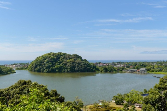 鹿島の森