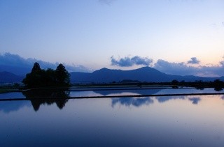 L'île aux Chats (le rocher de Yamabushi)