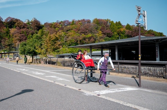 人力車 越前こぶし組