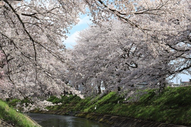 吉野瀬川