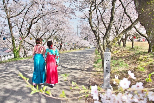 あらた坂と袴姿の女性