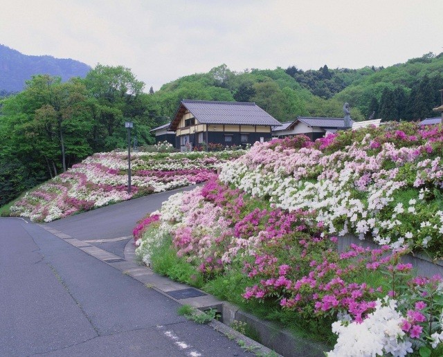 五色山公園