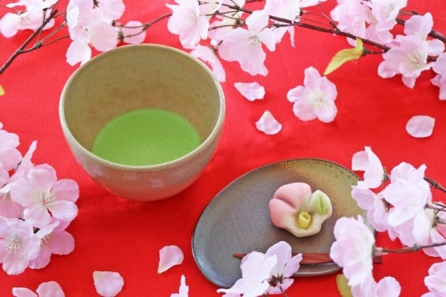 【越前古窯博物館】しだれ桜のもとでアフタヌーンティー