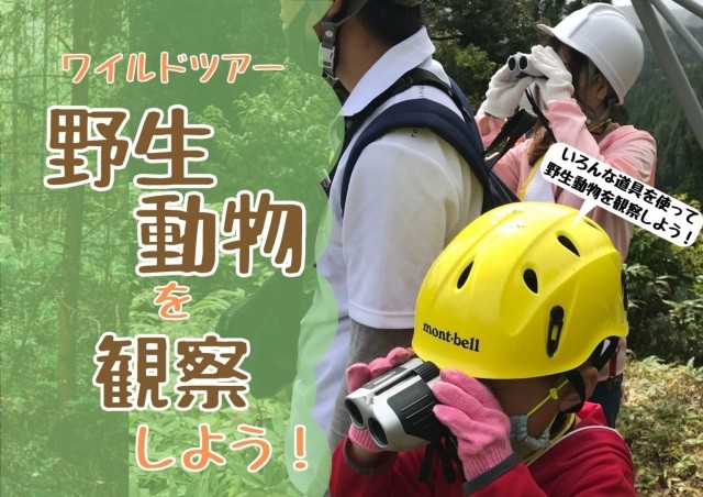 ワイルドツアー　野生動物を観察しよう！