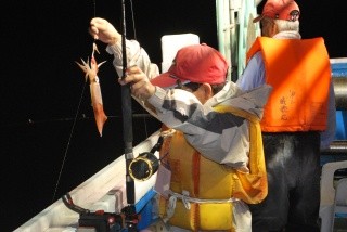 手ぶらでOK! 船上からのイカ釣り体験