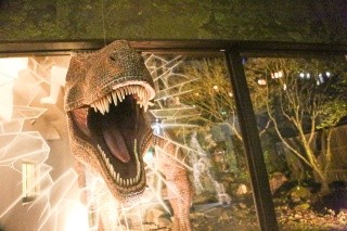 forêt de repos (Hôtel Dinosaure)