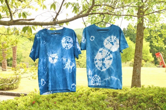 【越前古窯博物館】藍染のオリジナルTシャツを作ろう