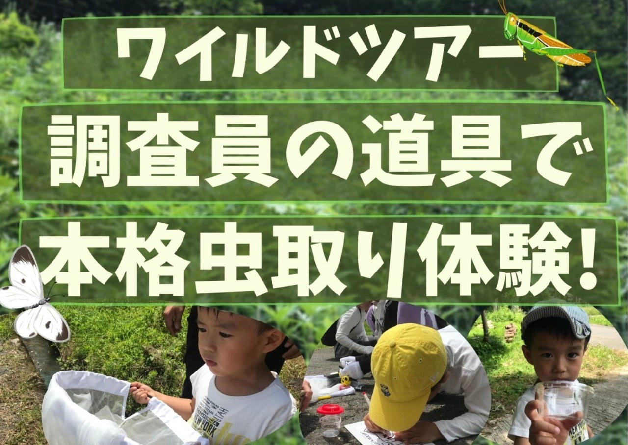 ワイルドツアー 調査員の道具で本格虫取り体験 イベント 公式 福井県 観光 旅行サイト ふくいドットコム