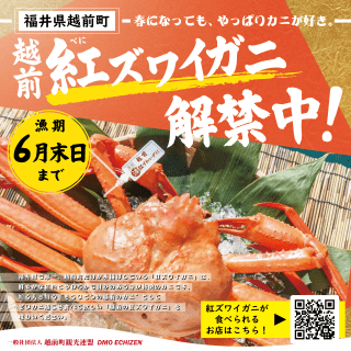 【越前町】越前紅ズワイガニフェア2026【春】