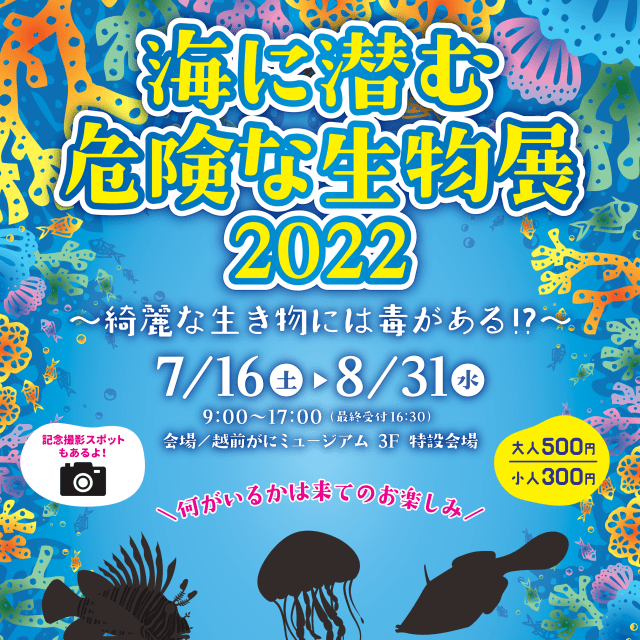 【越前がにミュージアム】海に潜む危険な生物展2022