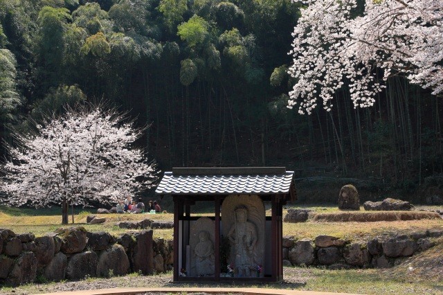西山光照寺跡