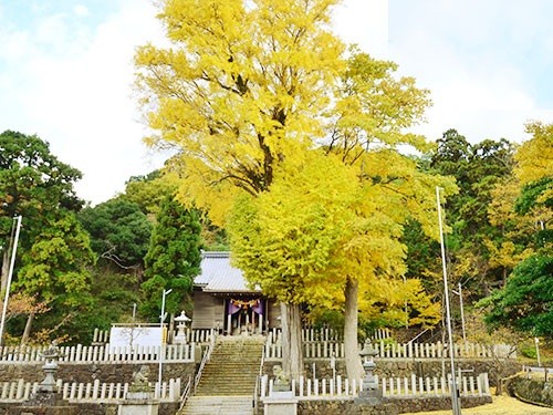 新宮神社