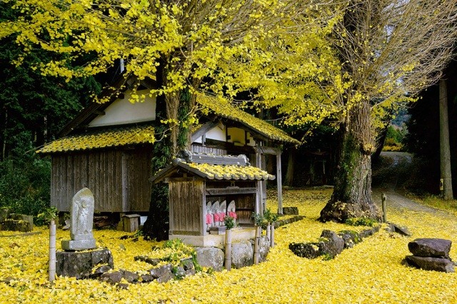 熊野神社