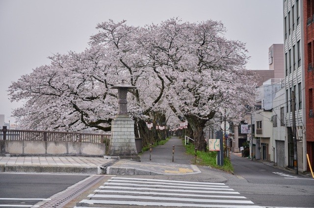 九十九橋