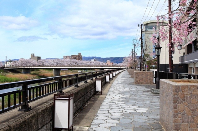 さくらの小径
