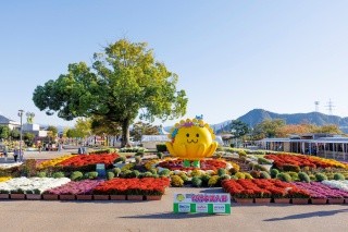 第74回　2025たけふ菊人形