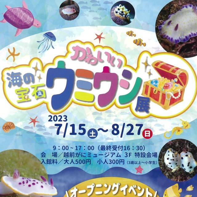【越前がにミュージアム】海の宝石ウミウシ展2023