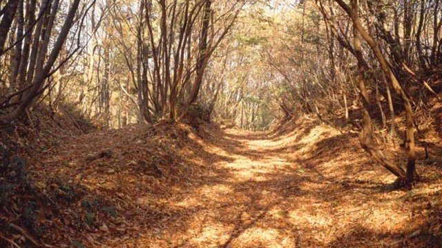 馬借街道