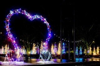 Illumination du parc Nishiyama