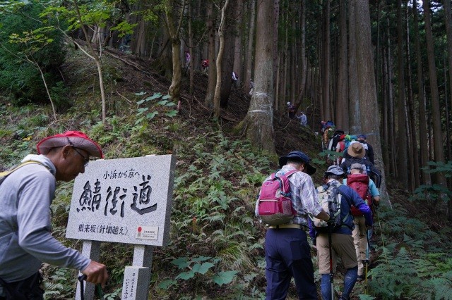 「第18回 鯖街道体験ウォーキング」開催いたします！