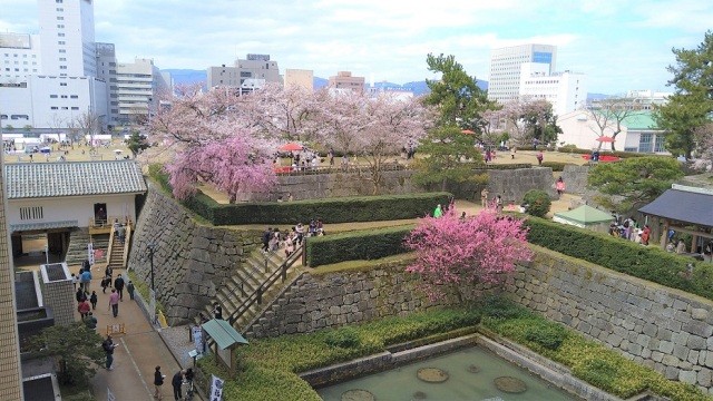 福井城址春まつり