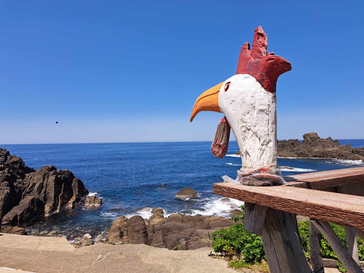 越前海岸がすぐ目の前