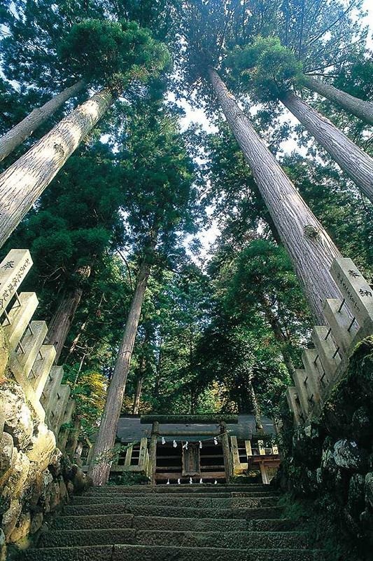 神社の本殿は国の重要文化財