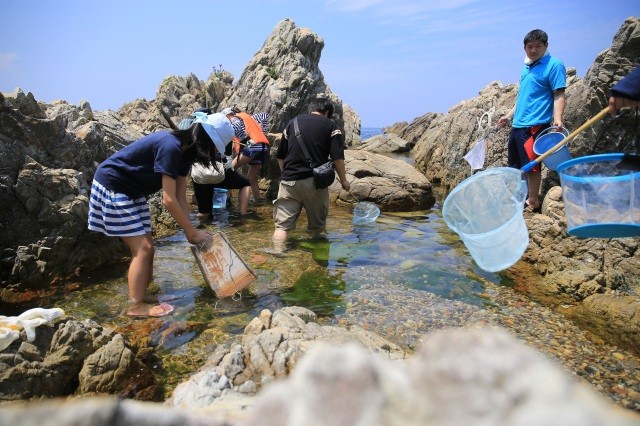 （募集終了）カニ博士と一緒に越前海岸の浜辺でイソ観察体験