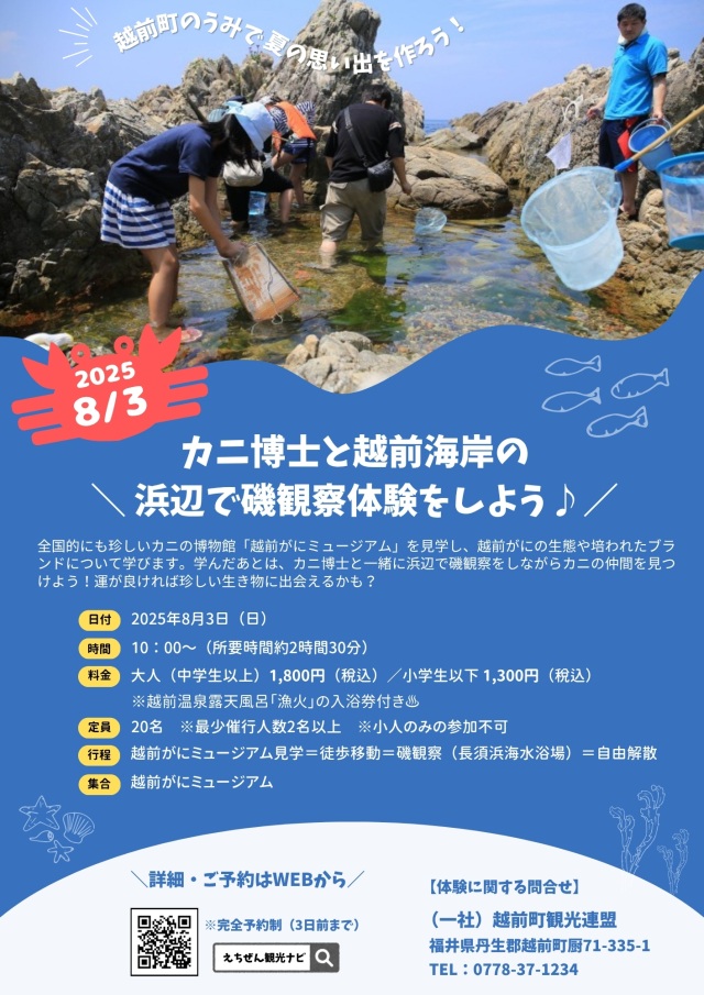 （募集中）カニ博士と越前海岸の浜辺でイソ観察体験2025