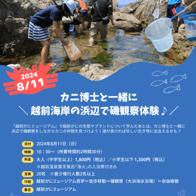 ※募集終了※ カニ博士と越前海岸の浜辺でイソ観察体験