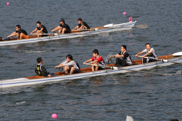 美浜町民レガッタ