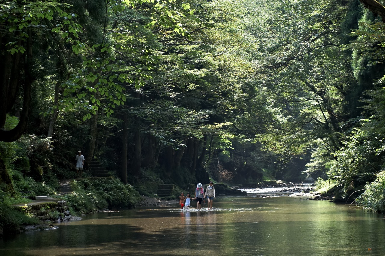 遊歩道散策や水遊びが楽しめる足羽川（あすわがわ）