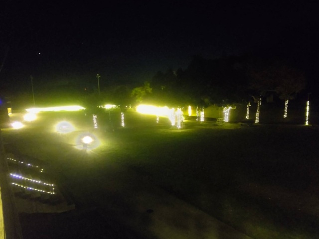 ハーバルイルミネーション