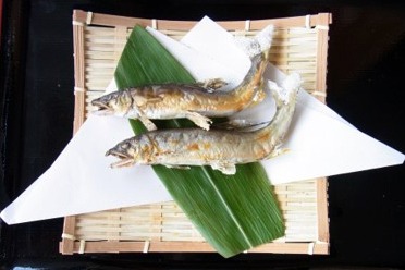鮎の塩焼き