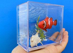 クラフト教室「ミニチュア水族館」