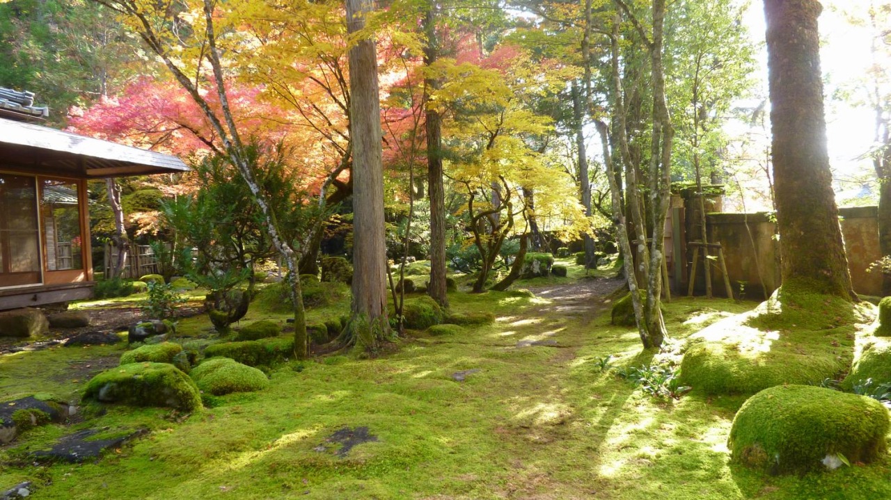秋の庭園
