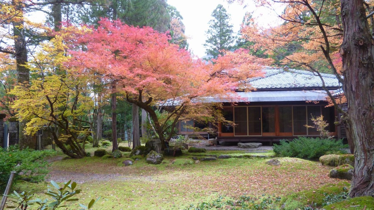 秋の庭園
